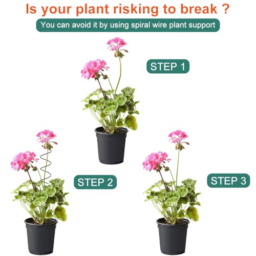 HASTHIP® 6PCS Plant Support Stick 15.75 Inches Spiral Metal Climbing Stakes Upward Growing Stand for Indoor Outdoor Moss Planters Flower Pots HASTHIP® 6PCS Plant Support Stick 15.75 Inches Spiral Metal Climbing Stakes Upward Growing Stand for Indoor Outdoor Moss Planters Flower Pots